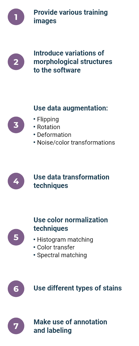 Place your alt text here