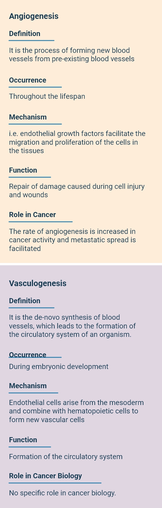 How does angiogenesis differ from vasculogenesis