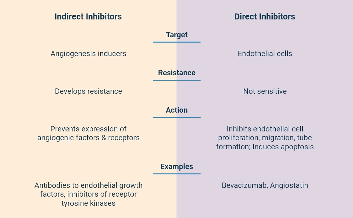 Angiogenesis inhibitors can be grouped into two major categories direct and indirect ones