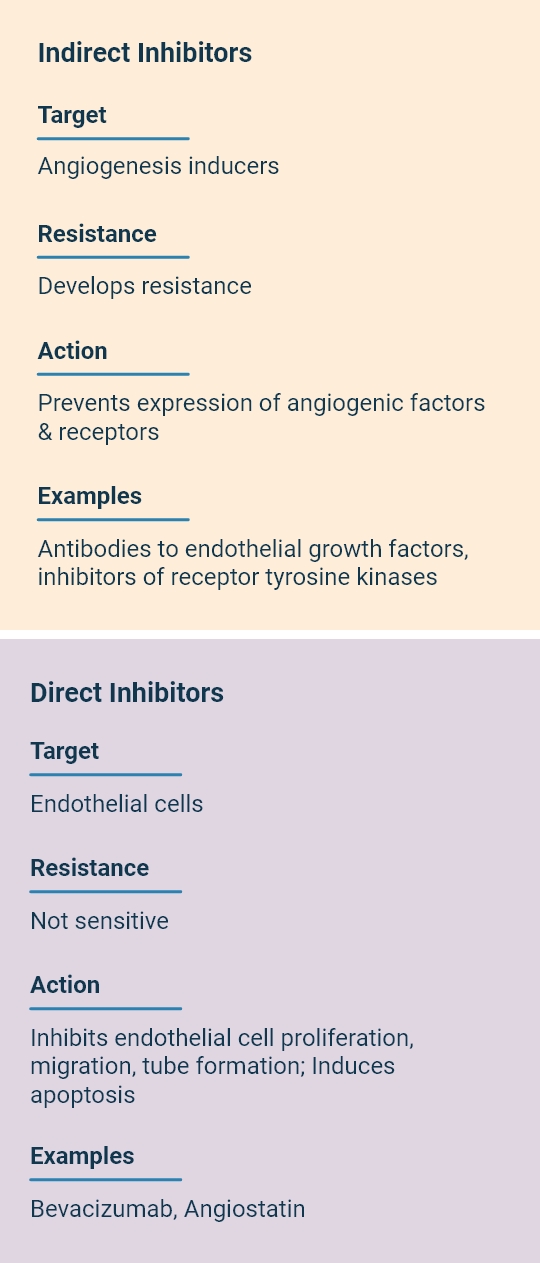 Angiogenesis inhibitors can be grouped into two major categories direct and indirect ones