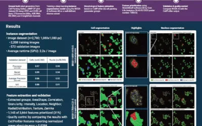 A Fast Approach for Fully-Automated Cell Painting Image Analysis and Feature Extraction from Raw Image Data
