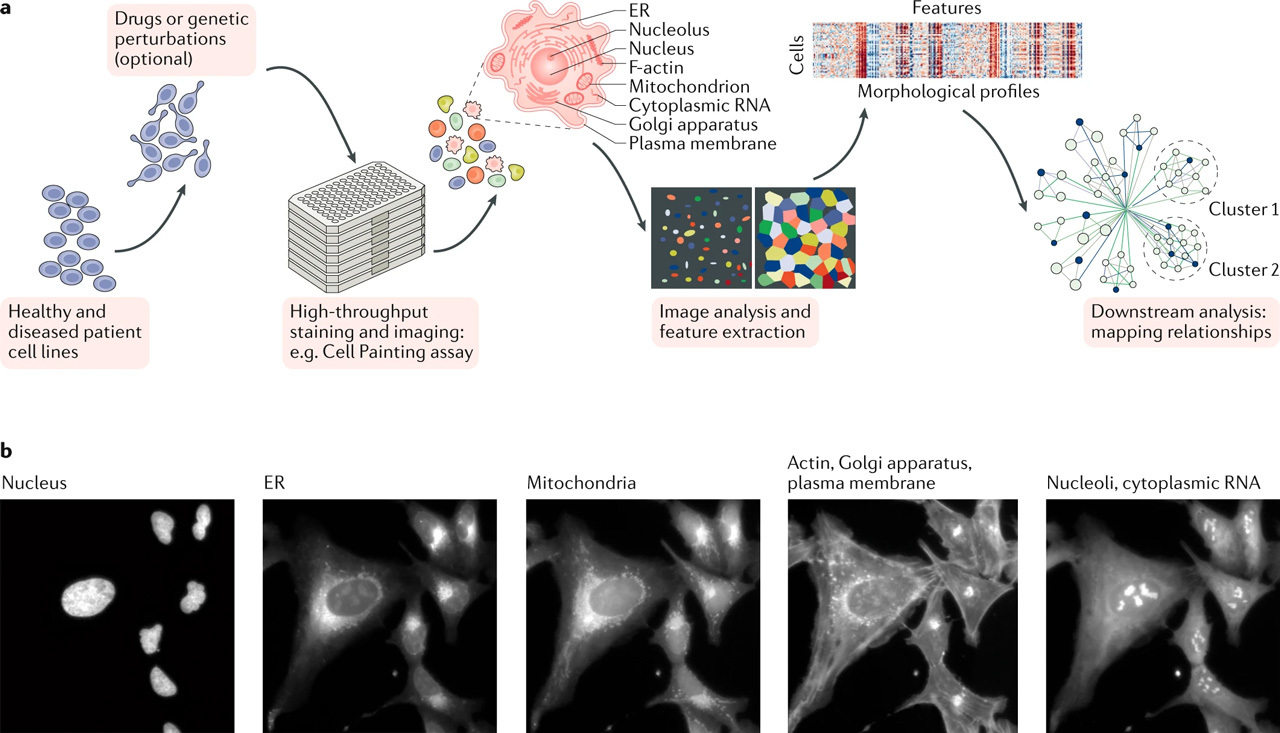 Overview Areas of Use in Drug Discovery