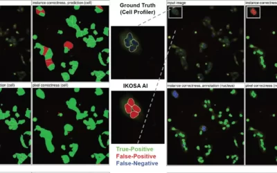 Harnessing and Validating Deep Learning-based Image Analysis for Cell Painting as an Unbiased Approach to Phenotypic Drug Discovery